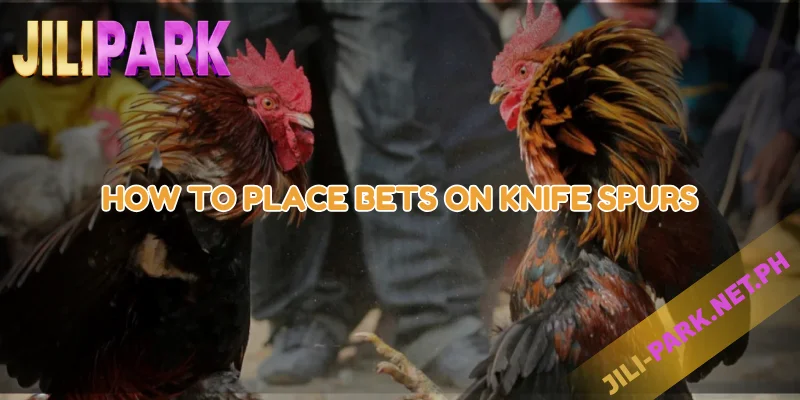 How to Place Bets on Knife Spurs