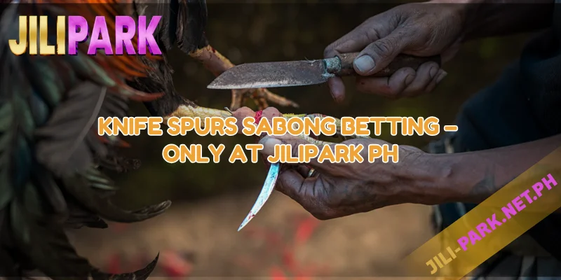 Knife Spurs Sabong Betting Only at JILIPARK PH