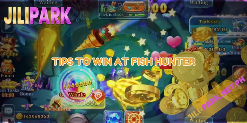 Tips to Win at Fish Hunter