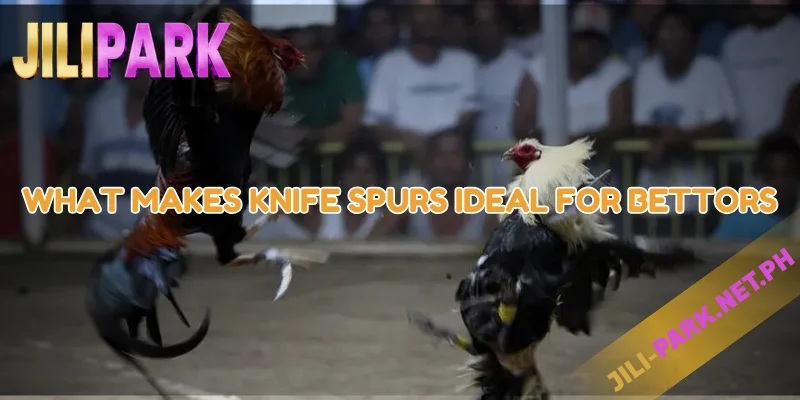 What Makes Knife Spurs Ideal for Bettors