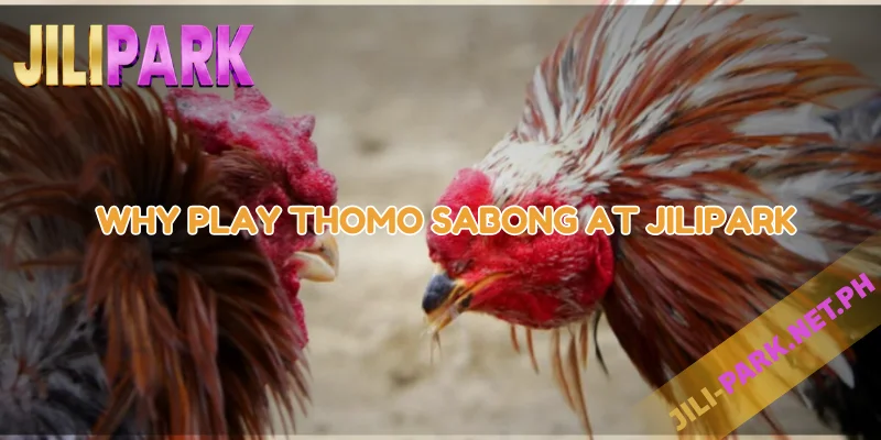 Master Thomo Sabong at JILIPARK – Ultimate Cockfight Betting Guide 3 Why Play Thomo Sabong at JILIPARK